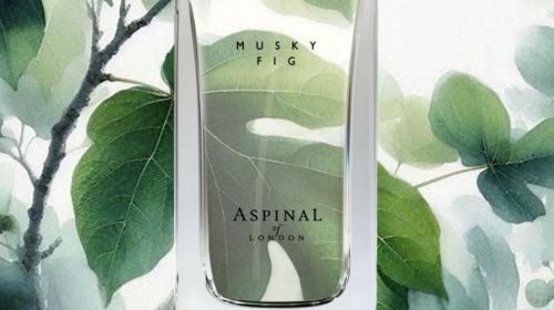 MORNING DEW: L’ESTETICA OLFATTIVA DI UNA MATTINA D’ESTATE  