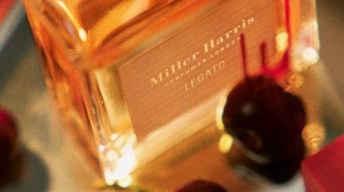 LA POESIA DIVENTA PROFUMO: FRAGRANZE CHE TRASFORMANO LE PAROLE IN EMOZIONI OLFATTIVE